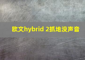 欧文hybrid 2抓地没声音